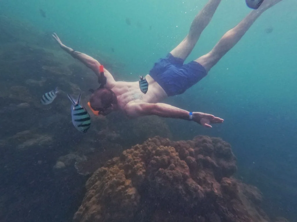 Snorkeling around the coral