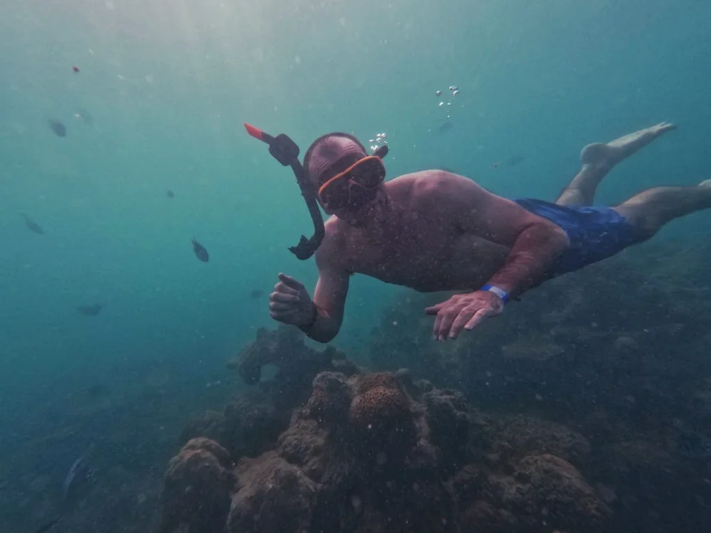 Snorkeling around the coral