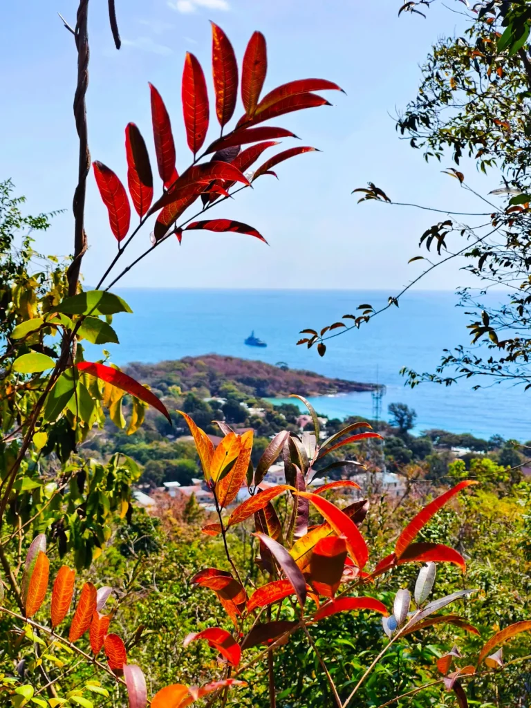 View from the nature trail View from the nature trail
